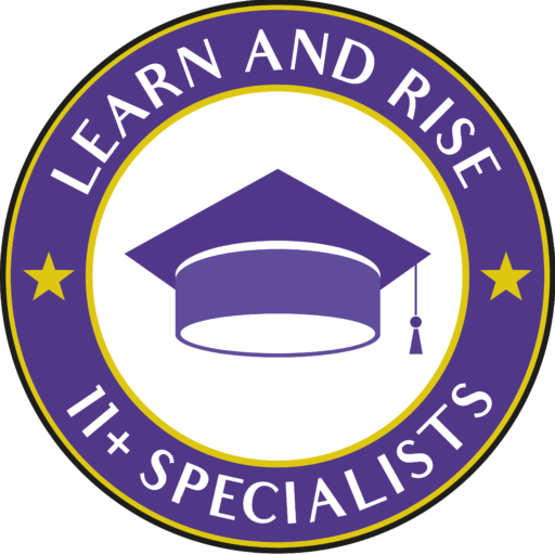 Learn and Rise